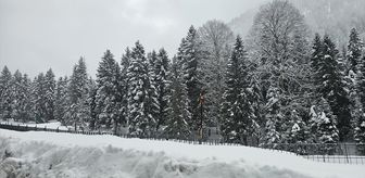 Rize ve Ordu'da kar etkili oldu