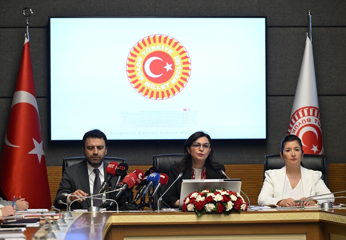 Sağlık Bakanı Memişoğlu, TBMM Suça Sürüklenen Çocuklara İlişkin Araştırma Komisyonunda sunum yaptı Açıklaması