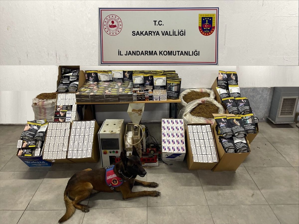 Sakarya'da 130 bin 440 makaron ele geçirildi