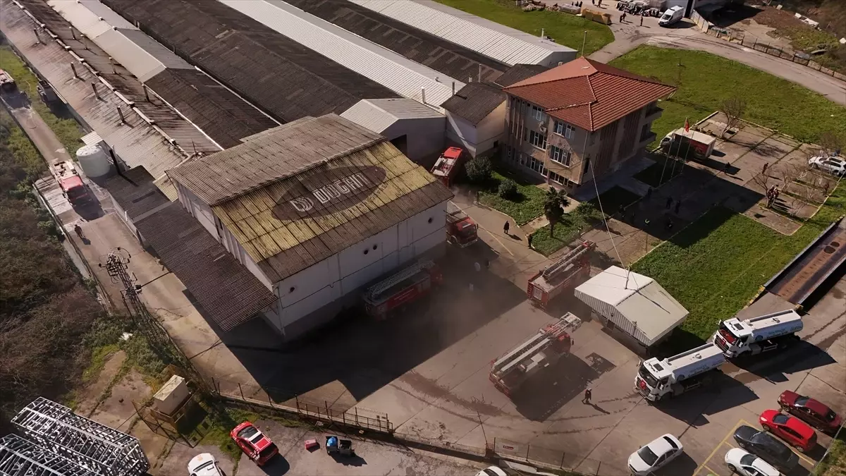 Sakarya'da gıda fabrikasında çıkan yangın söndürüldü