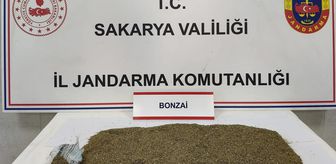 Sakarya'da uyuşturucu operasyonunda 1 zanlı tutuklandı