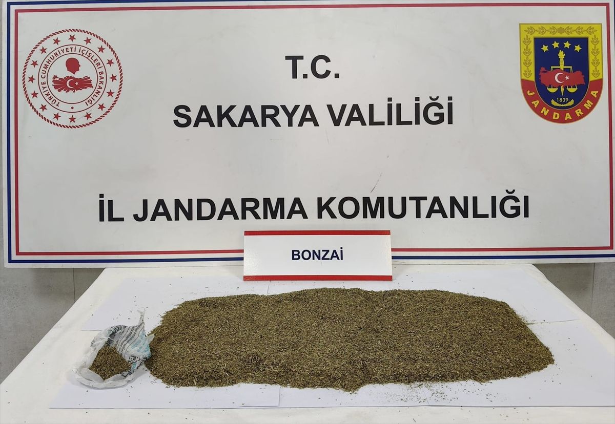 Sakarya'da uyuşturucu operasyonunda 1 zanlı tutuklandı