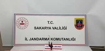 Sakarya'da uyuşturucu operasyonunda yakalanan 2 zanlı tutuklandı