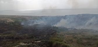 Samandağ ilçesinde makilik alanda çıkan yangın söndürüldü