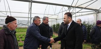 Samsun'da 12 bin 500 meyve fidanı üreticiyle buluşturuldu