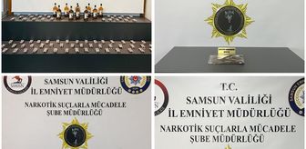 Samsun'da uyuşturucu operasyonlarında 10 zanlı yakalandı