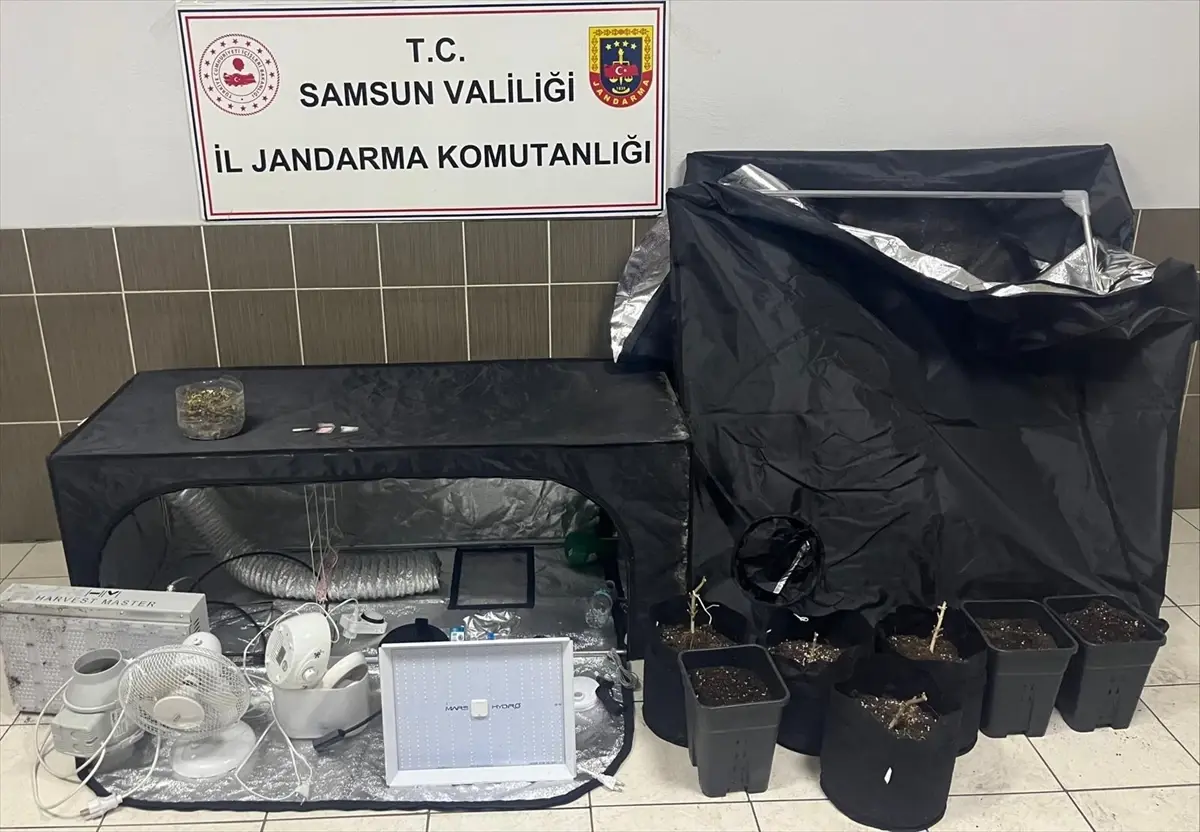 Samsun'da uyuşturucu operasyonunda 1 zanlı yakalandı