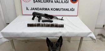 Şanlıurfa'da silah kaçakçılığı operasyonunda 1 şüpheli yakalandı
