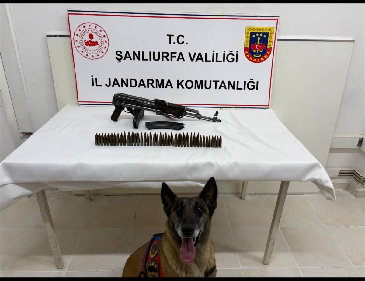 Şanlıurfa'da silah kaçakçılığı operasyonunda 1 şüpheli yakalandı