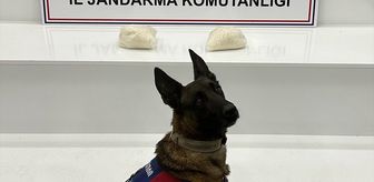 Şanlıurfa'da uyuşturucu operasyonunda 2 şüpheli yakalandı