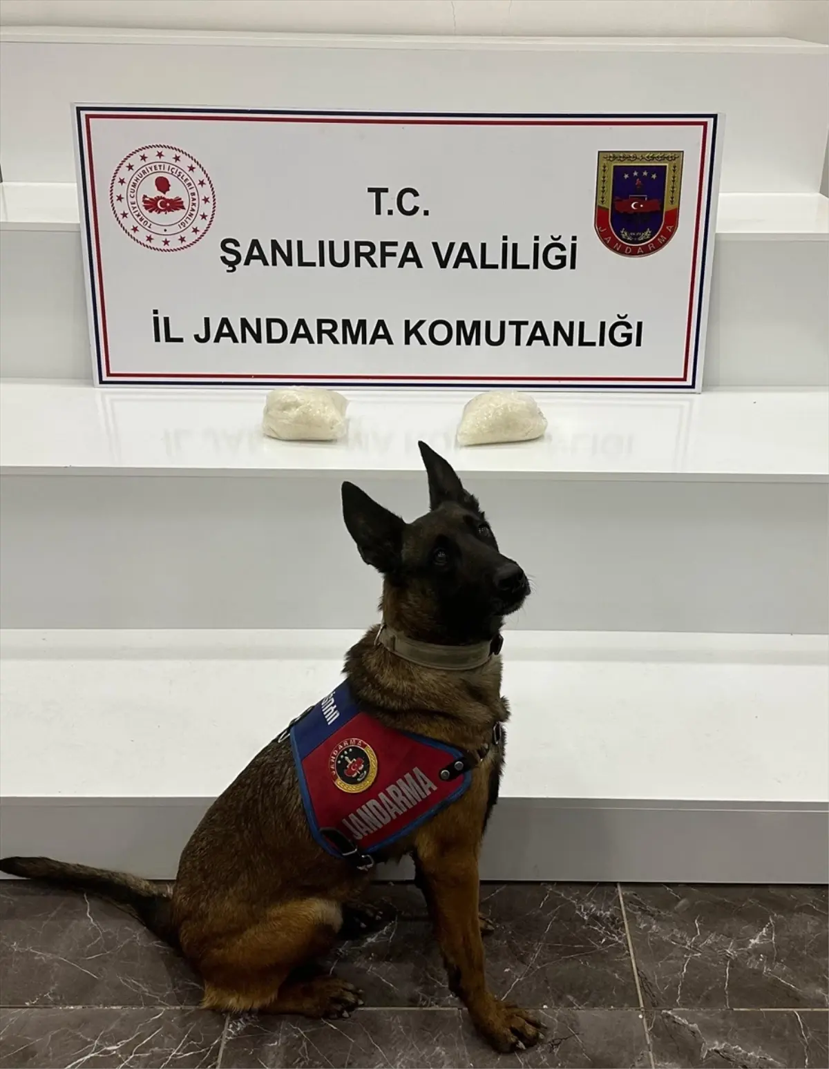 Şanlıurfa'da uyuşturucu operasyonunda 2 şüpheli yakalandı