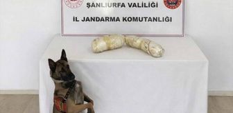 Şanlıurfa'da uyuşturucu operasyonunda 2 şüpheli yakalandı