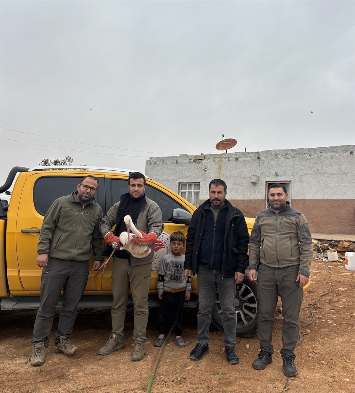 Şanlıurfa'da yaralı halde bulunan leylek tedavi altına alındı
