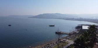 Sapanca Gölü çevresindeki etnobotanik hafıza 112 bitkiyle kayıt altına alındı