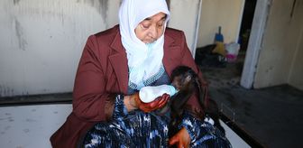 Şehit annesi biberonla beslediği 'yavrularının' evindeki yangından kurtarılmasıyla teselli buldu