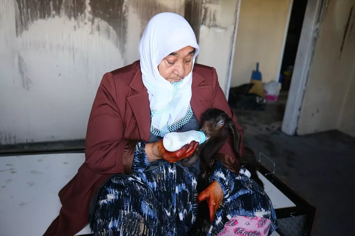 Şehit annesi biberonla beslediği 'yavrularının' evindeki yangından kurtarılmasıyla teselli buldu