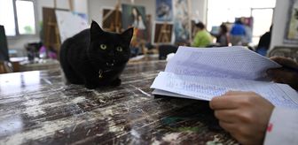 Sevimli kedi 'Şükufe' kursiyerlerin neşe kaynağı oldu