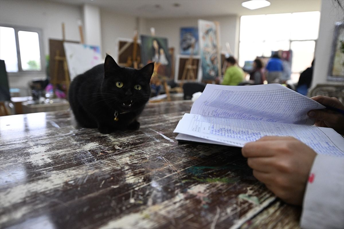Sevimli kedi 'Şükufe' kursiyerlerin neşe kaynağı oldu
