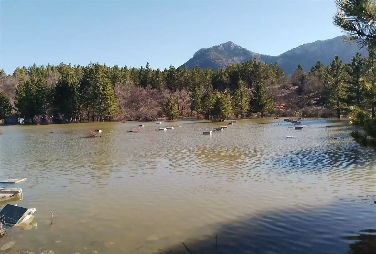 Seydişehir'de arı kovanları su altında kaldı