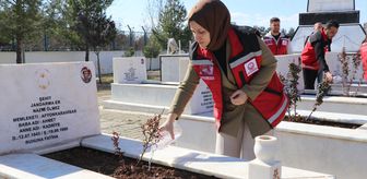 Siirt'te şehitliklerde bakım, onarım ve temizlik çalışması başlatıldı