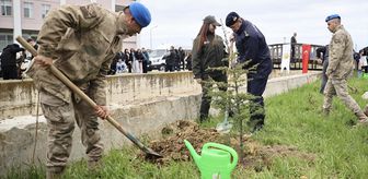 Sinop'ta toprakla buluşturulan 5 bin 700 fidan geleceğe nefes olacak