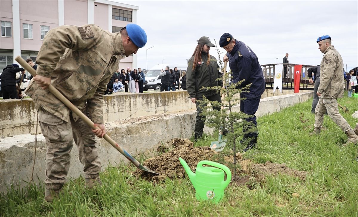 Sinop'ta toprakla buluşturulan 5 bin 700 fidan geleceğe nefes olacak