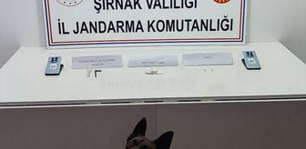 Şırnak'ta düzenlenen kaçakçılık ve asayiş operasyonlarında 7 şüpheli tutuklandı