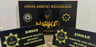 Şırnak'ta kaçakçılık operasyonlarında 4 zanlı tutuklandı