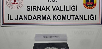 Şırnak'ta kaçakçılık ve asayiş operasyonlarında 1 kişi tutuklandı
