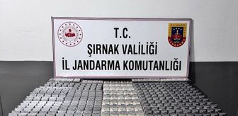 Şırnak'ta kaçakçılık ve asayiş operasyonlarında 82 kişi hakkında işlem yapıldı