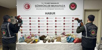 Şırnak'ta yasa dışı yollarla yurda sokulan 38 keklik ve 2 horoz ele geçirildi