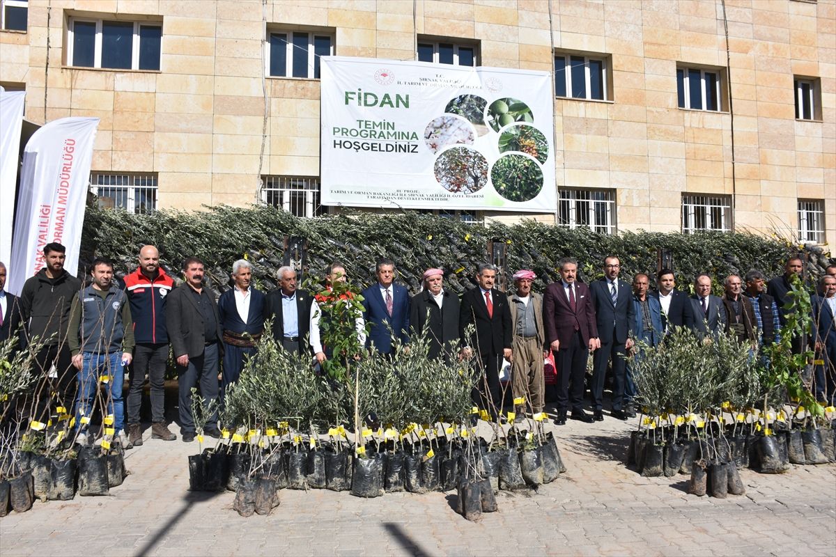 Şırnak'ta Çiftçilere 25 Bin Fidan Dağıtımı