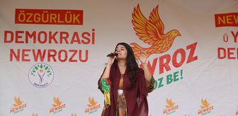 Şırnak ve Mardin'de nevruz etkinliği düzenlendi