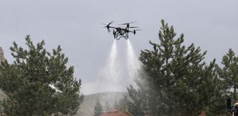 Sivas Belediyesi kenelere ve haşerelere karşı dronla ilaçlama yaptı
