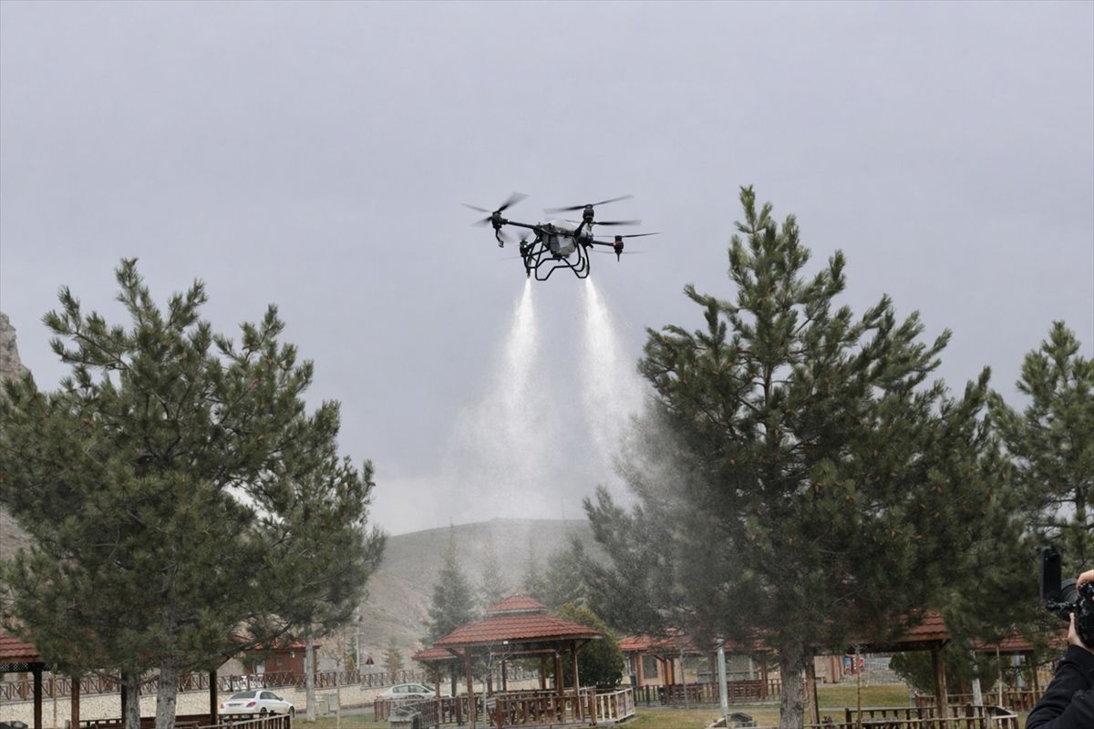 Sivas Belediyesi kenelere ve haşerelere karşı dronla ilaçlama yaptı