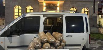 Sivas'ta 186 kilogram gümrük kaçağı tütün ele geçirildi
