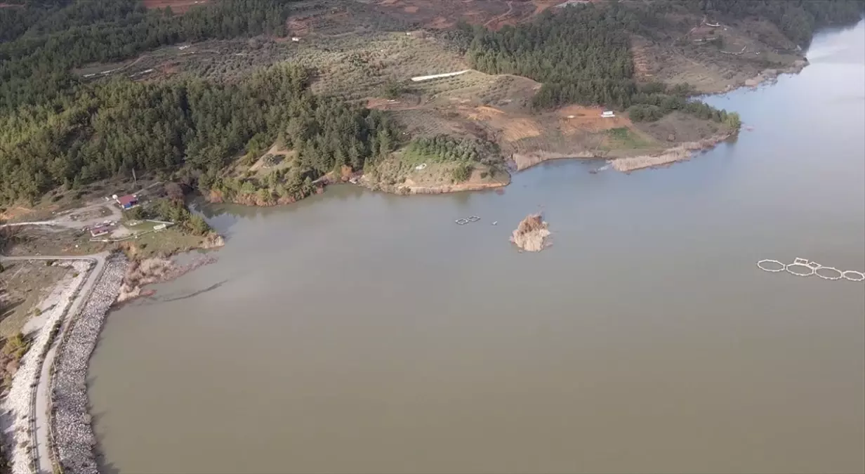 Son yağışlarla Muğla'daki baraj ve göletlerdeki doluluk oranı arttı