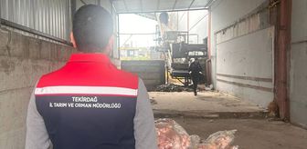 Tekirdağ'da 2 bin 800 kilogram sağlıksız hayvansal ürün imha edildi