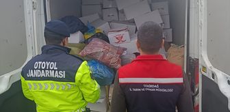 Tekirdağ'da 2 ton sağlıksız Antep fıstığı imha edildi