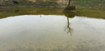 Tekirdağ'da kuruyan Çakıl Gölet'i yağışlarla yeniden doluyor