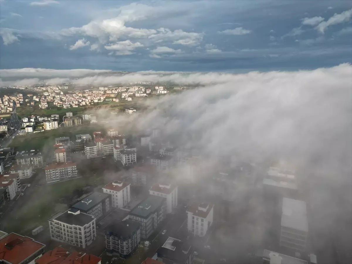 Tekirdağ'da sis araç trafiğini olumsuz etkiledi