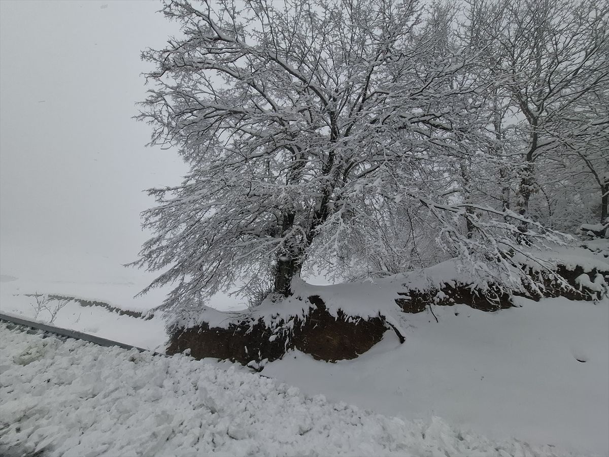 Tekirdağ ve Kırklareli'nin yüksek kesimlerinde kar etkili oluyor
