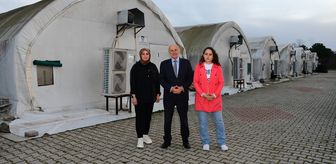Terme'de kadın girişimciler istiridye mantarı üretimi yapıyor