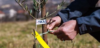 TİKA, Bosna Hersek'teki kadınların tarımsal üretimine destek için proje geliştirdi
