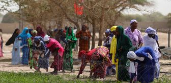 TİKA, Senegal'de 5 kadın kooperatifi için 3 hektarlık alanda sebze meyve bahçesi kurdu