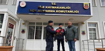 Tokat'ta yaralı halde bulunan kızıl şahin tedavi altına alındı