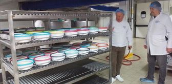 Trakya'da gıda işletmeleri ve zincir marketler denetlendi