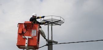 Trakya'da leylekler için elektrik direklerine 1000 platform kuruldu