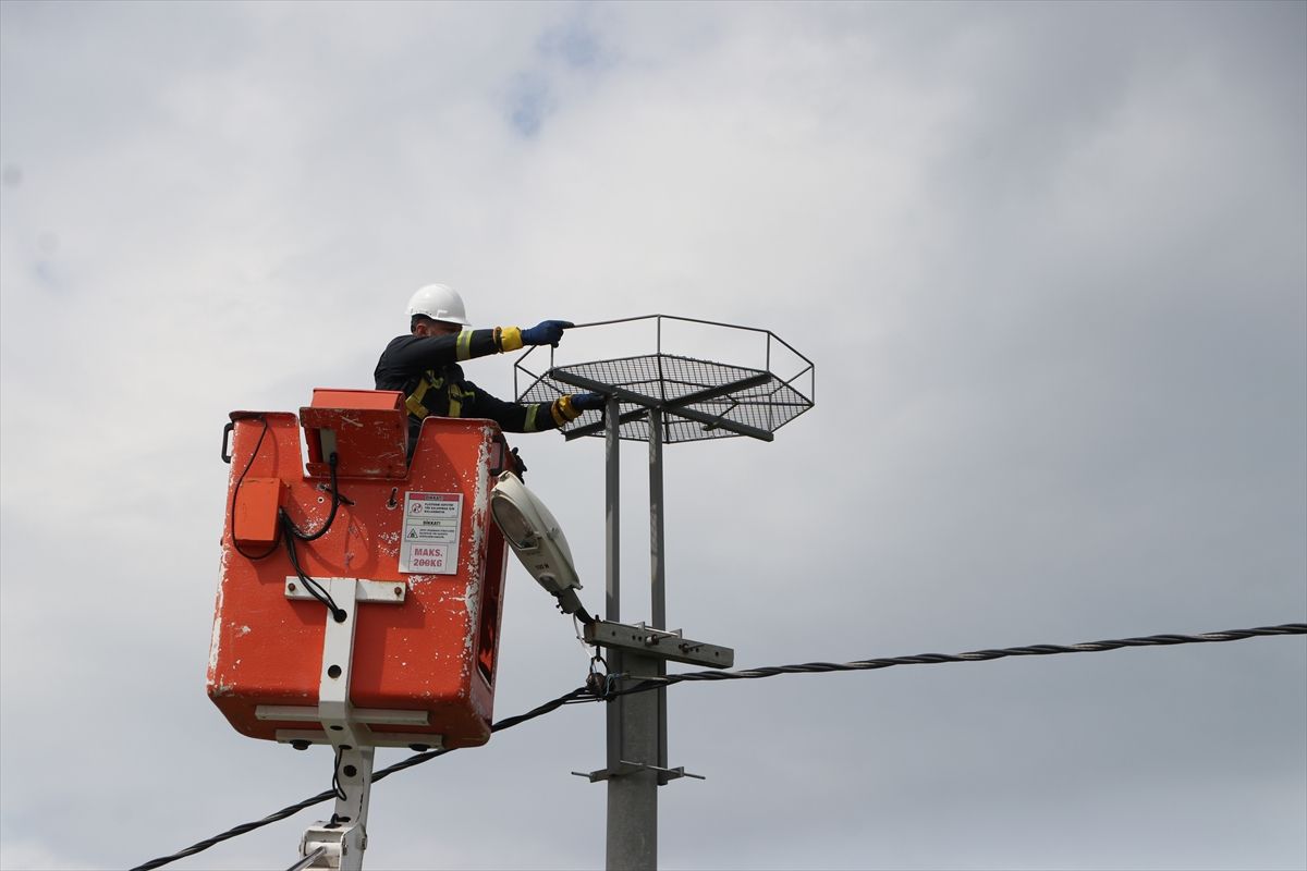 Trakya'da leylekler için elektrik direklerine 1000 platform kuruldu
