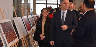 Uluslararası Tarım, Orman ve İnsan Fotoğraf Yarışması'nda ödül alan fotoğraflar Sinop'ta sergilendi